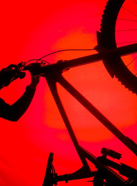 Team Commencal Schwalbe 2026