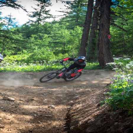 Bike Park_Les Orres - Les Orres