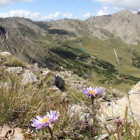Balcon des vallons - Balcon des Vallons