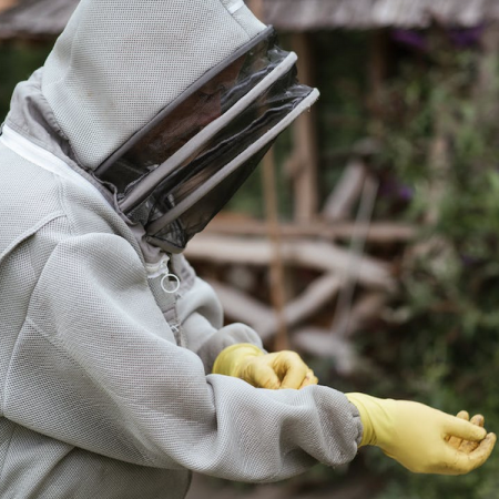 Le rucher Abeïa : découvrir le monde des abeilles - Le rucher Abeïa : découvrir le monde des abeilles