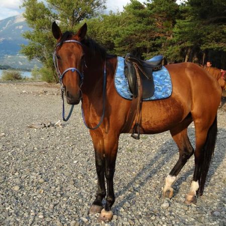 Aalpes Rando Equitation CROTS - Aalpes Rando Equitation CROTS