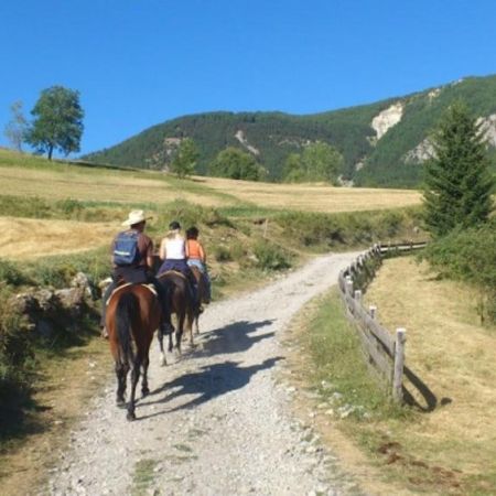 Aalpes Rando Equitation CROTS - Aalpes Rando Equitation CROTS