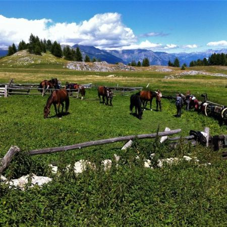 Aalpes Rando Equitation CROTS - Aalpes Rando Equitation CROTS