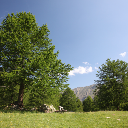 Boucle du Grand Vallon - Itinéraire VTTAE_Les Orres - Boucle du Grand Vallon - Itinéraire VTTAE_Les Orres