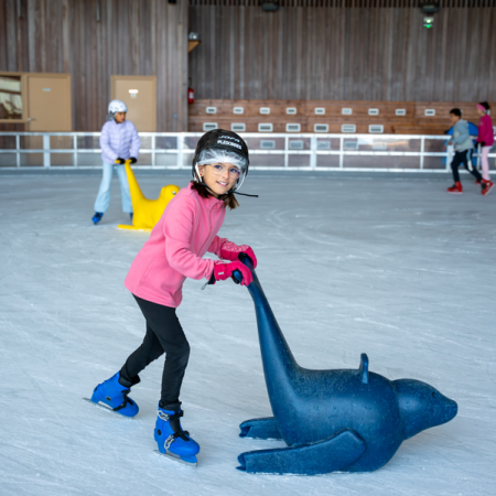 Jardin de glace à la patinoire_Les Orres - Jardin de glace à la patinoire_Les Orres