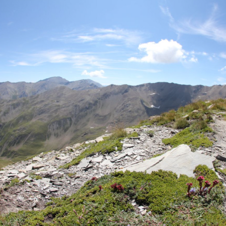 Skyrace Les Orres_Les Orres