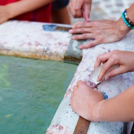 Enquête animée : Les mystères de l'île rose_Saint-Crépin - Saint-Crépin mystères