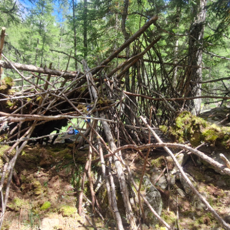 Decouverte de l'escalade indoor et cabane dans la foret au Club enfants_Les Orres - Decouverte de l'escalade indoor et cabane dans la foret au Club enfants_Les Orres