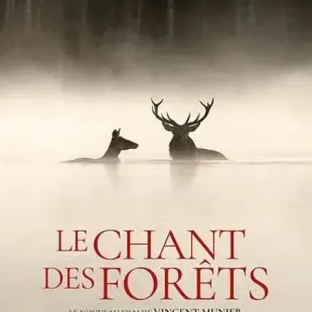 Cinéma : Le chant des forêts_Les Orres - Cinéma : Le chant des forêts_Les Orres