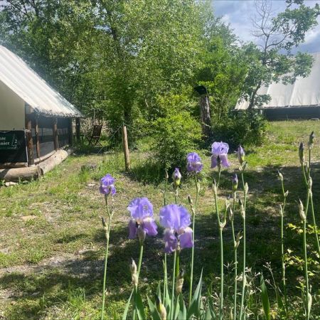Camping les écolodges des 3 lacs : Hébergements insolites._Rochebrune