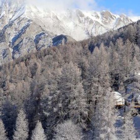 Alpin d'home - Alpin d'home