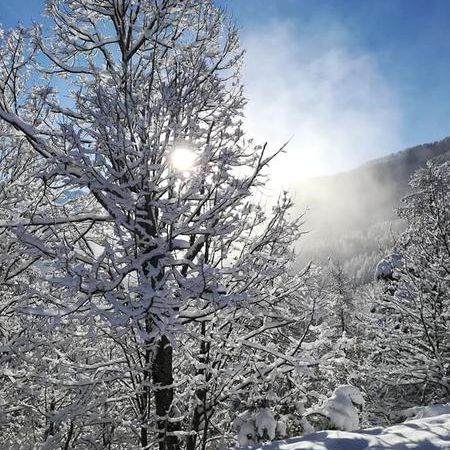 Auberge de la Draye - Auberge de la Draye