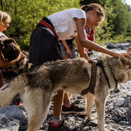 Canirando aux Orres, Alpes du sud