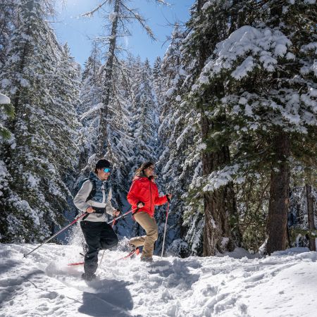Balade en raquette dans la poudreuse, Les Orres en hiver, Hautes-Alpes