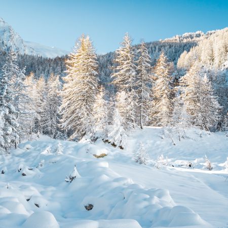 Ski de randonnée Les Orres, Alpes du sud