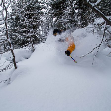 Sécurité ski poudreuse