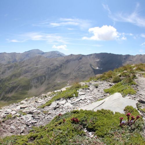 Skyrace Les Orres_Les Orres